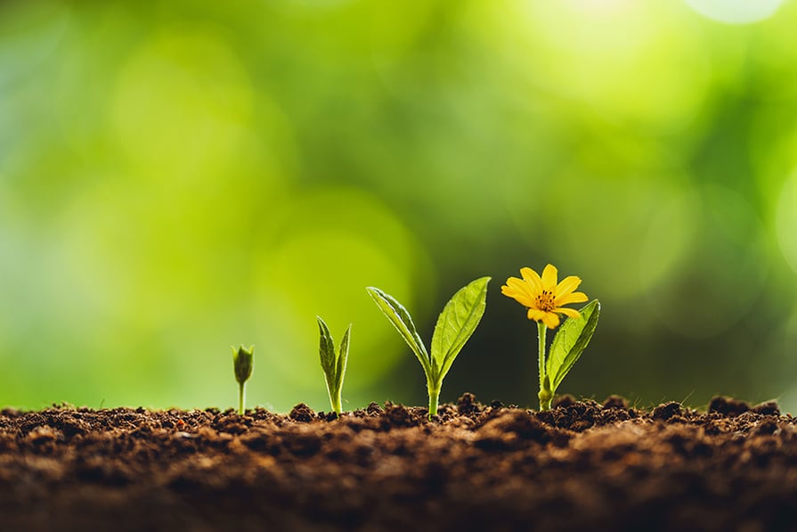 Are Geothermal Heat Pumps A Renewable Technology?